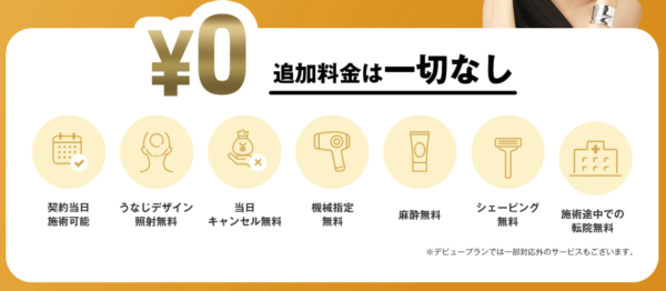 レジーナクリニックその他費用