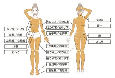 レジーナクリニック全身脱毛範囲
